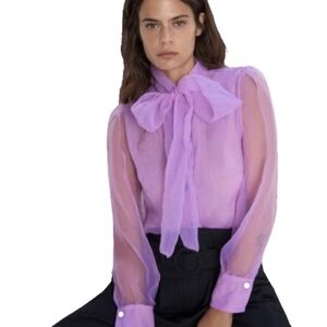 Elegant Lavender Sheer Blouse